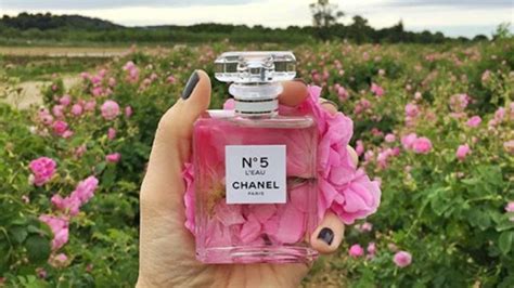 grasse perfumery chanel no|Who we are .